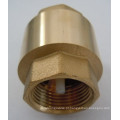 Válvula de filtro de latão com núcleo de plástico ou núcleo de latão (a 0195)